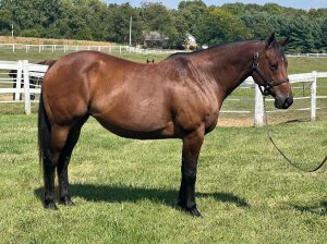 CA Claypole x San Martin de Burzaco h2h - CA Claypole x San Martin de  Burzaco head to head results